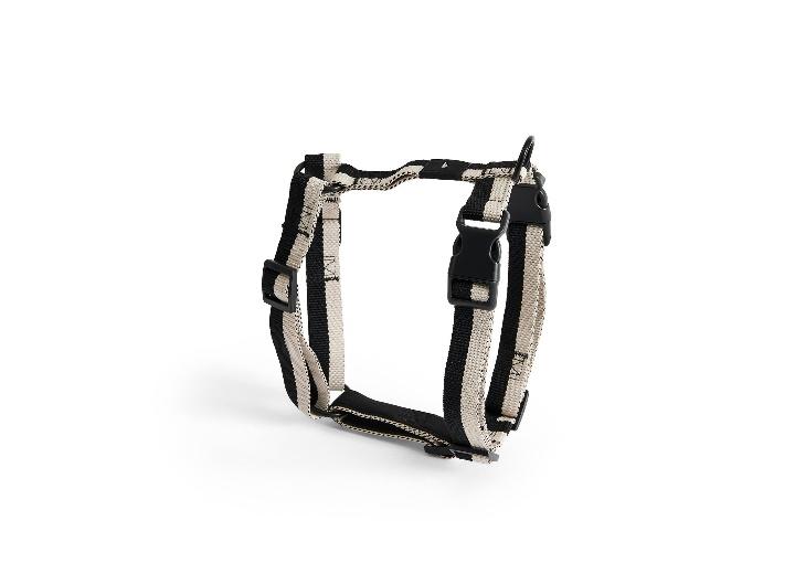 HAY｜DOGS HARNESS M